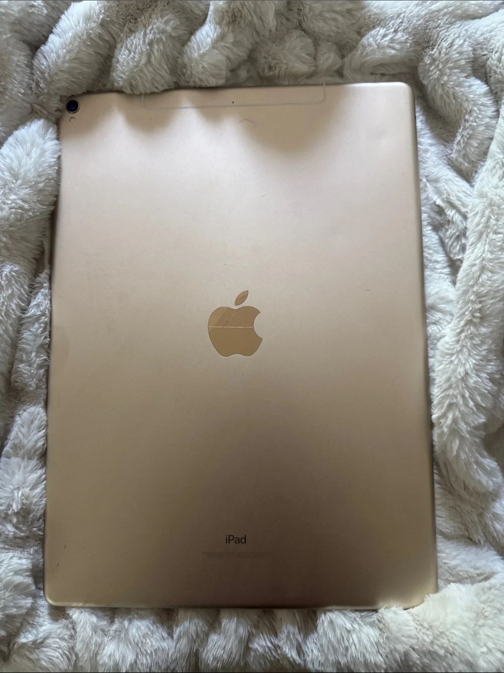 Apple iPad White/Silver Frame Tablet